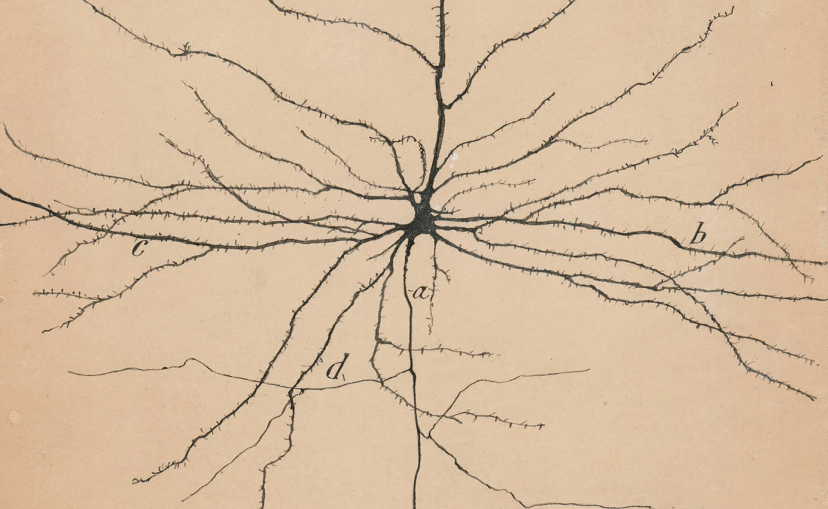 Research Cover Image 1