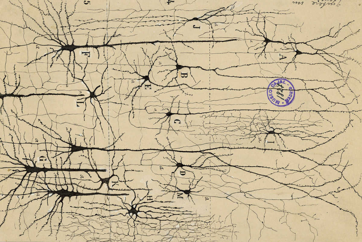 Research Cover Image 3